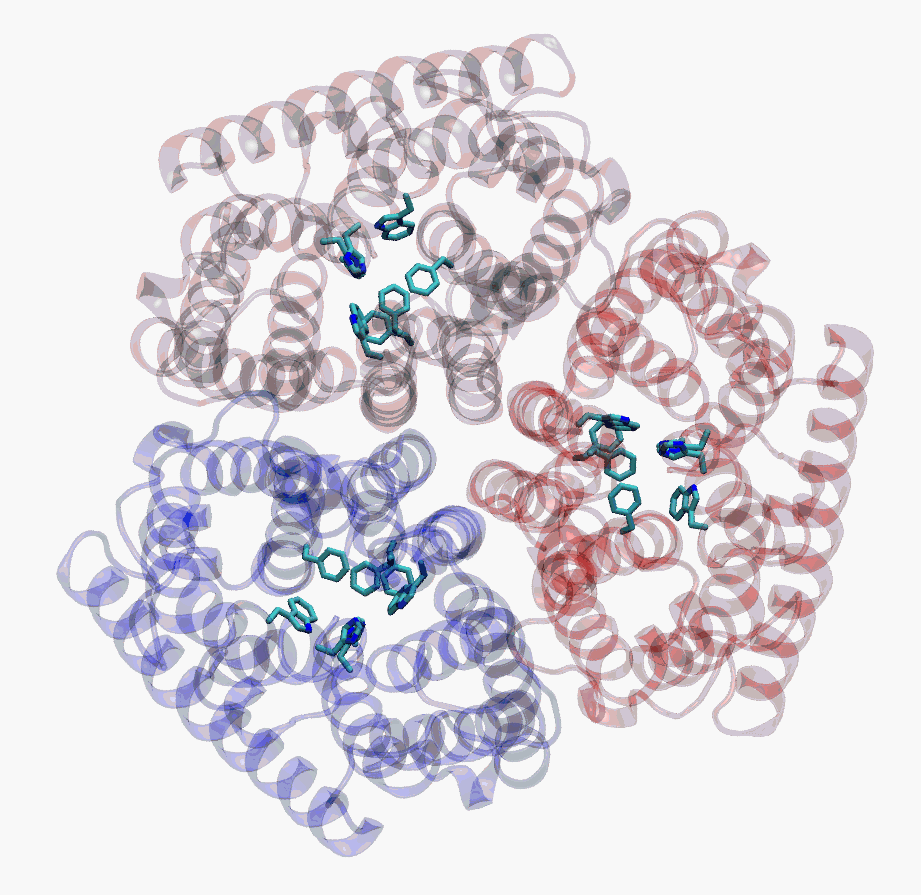 Crystal structure of the AmtB trimer